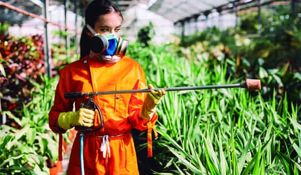 Control de plagas en plantas